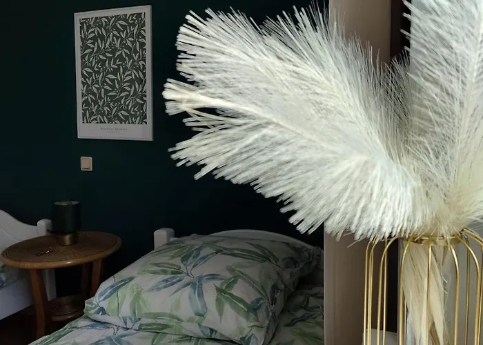 - 게스트하우스 비체