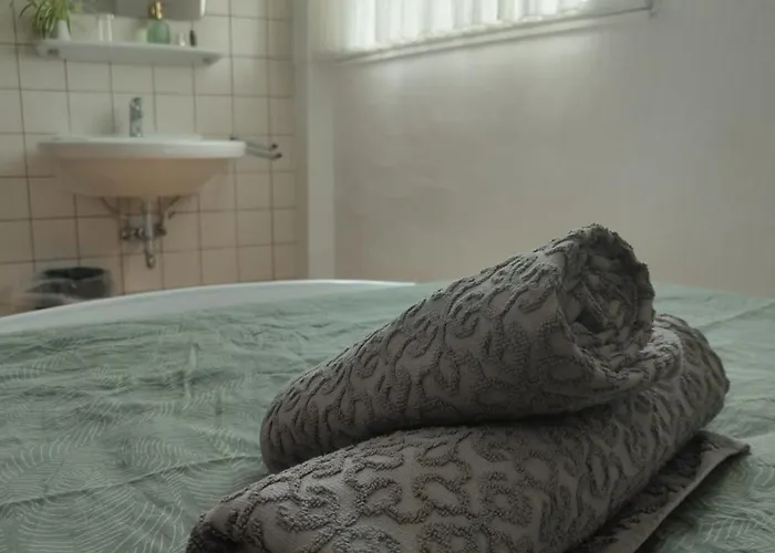 - 게스트하우스 비체